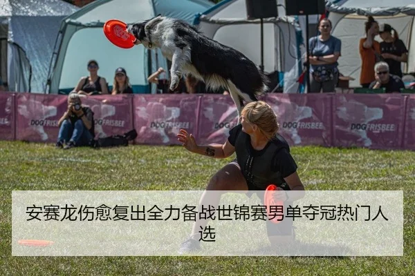 安赛龙伤愈复出全力备战世锦赛男单夺冠热门人选